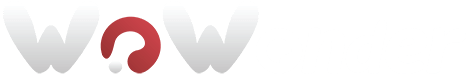 Solo CEO Logo