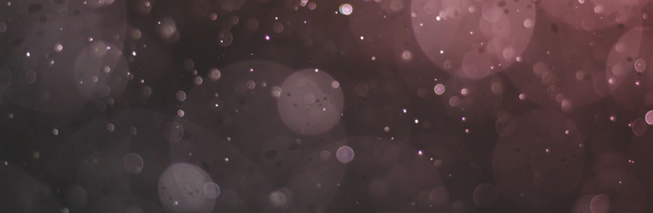 soloceo Cover Image
